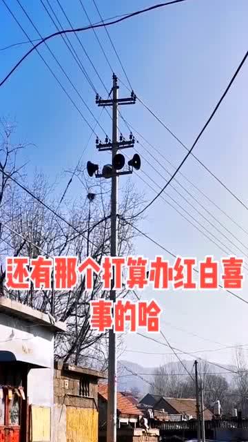 山东网红村长,带领乡村走向新潮流的领军人物