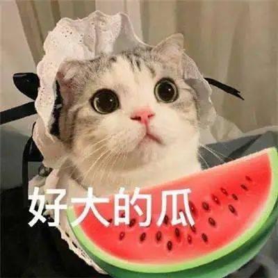 带你吃瓜奇葩动物起名,带你领略那些“吃瓜”界的奇葩名字