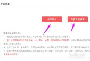 咋能在头条发布图片赚钱,如何在今日头条发布图片赚钱的秘诀解析