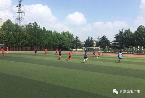 每日观赏大赛官网入口,探索视觉盛宴的无限魅力