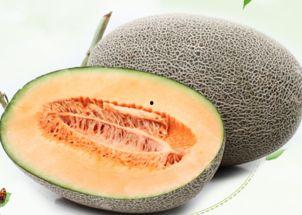 吃冰箱隔夜哈密瓜,揭秘冰箱中的美味秘密