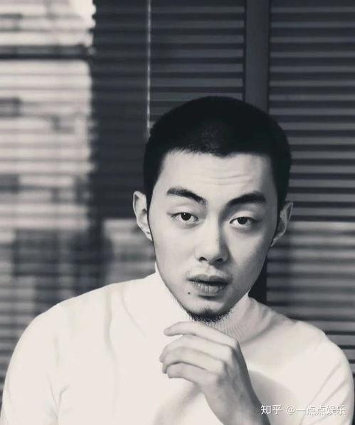 明星陈什么飞,星光熠熠的演艺人生