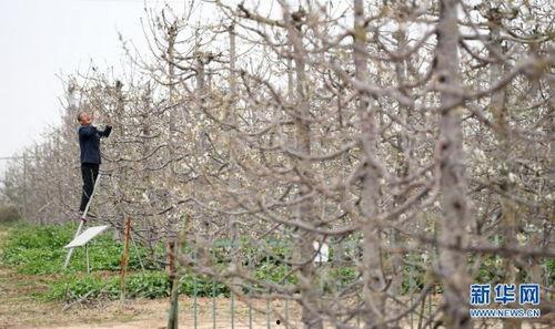 铜川小丘镇今日头条,探寻古镇魅力，共赏乡村振兴新画卷