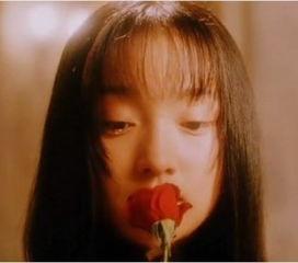 那些明星用绿叶,揭秘那些闪耀明星背后的默默奉献者