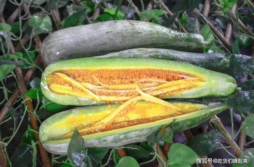 致爱丽丝吃瓜,一场甜蜜的瓜田盛宴