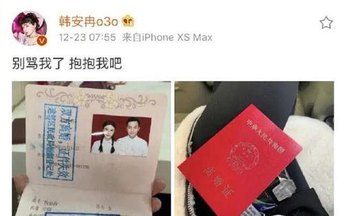 网红离婚证,揭秘背后真相与情感纠葛