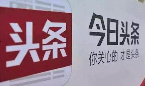 厦门盛和新闻今日头条,聚焦今日热点，解码城市脉搏