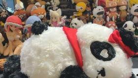 怎么看玩具是不是老料的,如何辨别真伪与价值