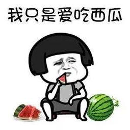 吃娱乐圈的瓜是什么意思